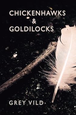 Chickenhawks & Goldilocks by Grey Vild