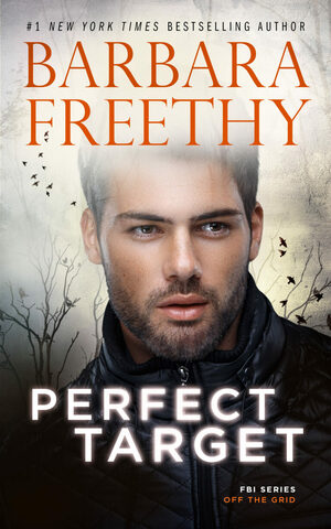 Perfect Target by Barbara Freethy