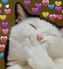 charlotte_may's profile picture