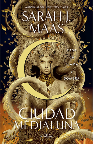 Casa de Llama y Sombra by Sarah J. Maas