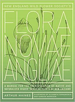 New England Wild Flower Society's Flora Novae Angliae: A Manual for the Identification of Native and Naturalized Higher Vascular Plants of New England by Gordon Morrison, Elizabeth Farnsworth, Arthur Haines, New England Wild Flower Society