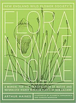 New England Wild Flower Society's Flora Novae Angliae: A Manual for the Identification of Native and Naturalized Higher Vascular Plants of New England by Elizabeth Farnsworth, Arthur Haines, New England Wild Flower Society, Gordon Morrison