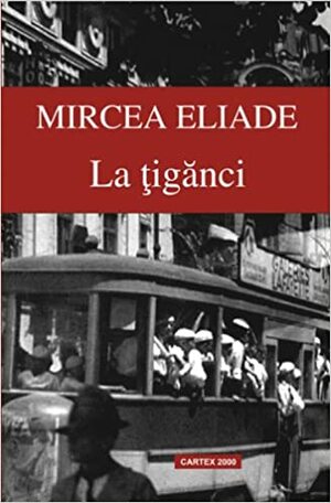 La țigănci. Un om mare. Douăsprezece mii de capete de vite. Fata căpitanului. O fotografie veche de 14 ani. Podul. Adio! by Mircea Eliade