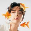 jasminertea's profile picture
