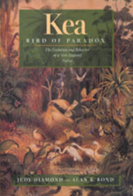Kea, Bird of Paradox: The Evolution and Behavior of a New Zealand Parrot by Judy Diamond, Alan B. Bond