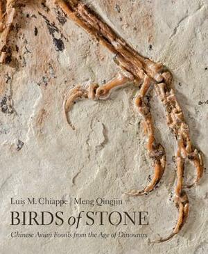 Birds of Stone: Chinese Avian Fossils from the Age of Dinosaurs by Luis M. Chiappe, Meng Qingjin