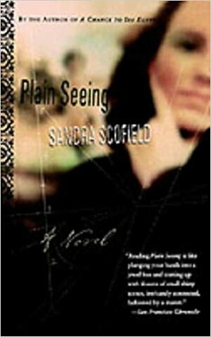 Plain Seeing by Sandra Scofield
