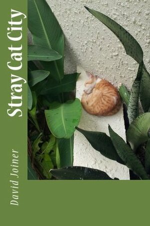 Stray Cat City by David Joiner
