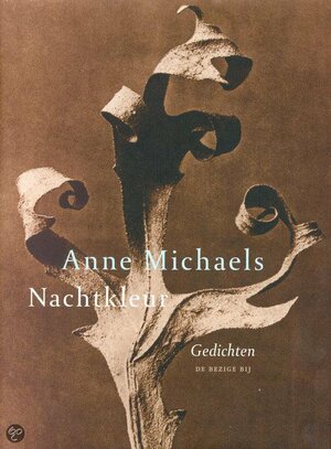 Verborgen verleden by Anne Michaels