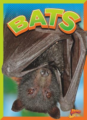 Bats by Gail Terp