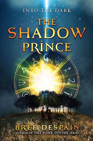 Into the Dark Book #1: The Shadow Prince by Bree Despain