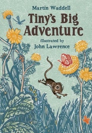 Tiny's Big Adventure by John Lawrence, Martin Waddell