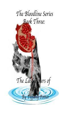 The Bloodlines Series: Book Three: The Last Hours of Destiny by Tiffany Potter