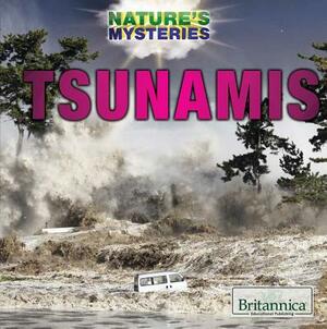 Tsunamis by Daniel E. Harmon