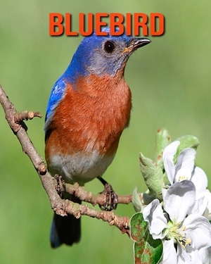 Bluebird: Learn About Bluebird and Enjoy Colorful Pictures by Diane Jackson