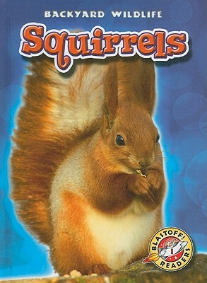 Squirrels by Derek Zobel