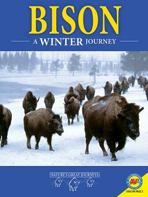 Bison: A Winter Journey by Rebecca Hirsch