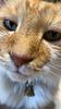 interstellarbee's profile picture