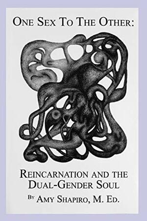 One Sex To The Other: Reincarnation and The Dual-Gender Soul by Amy Shapiro
