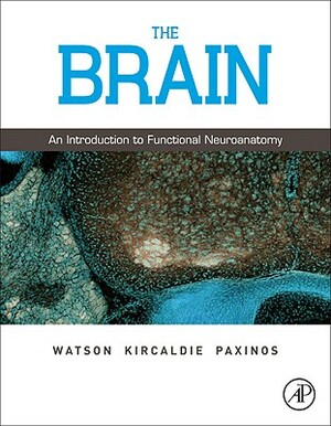 The Brain: An Introduction to Functional Neuroanatomy by Charles Watson, George Paxinos, Matthew Kirkcaldie