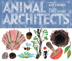 Animal Architects by Chris Sasaki, Amy Cherrix