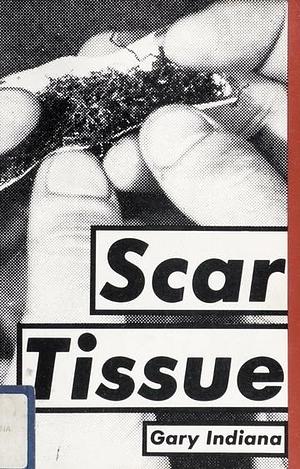 Scar Tissue and Other Stories by Gary Indiana