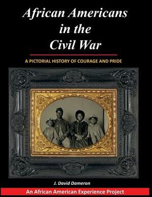 African Americans in the Civil War: A Pictorial History of Courage and Pride by J. David Dameron