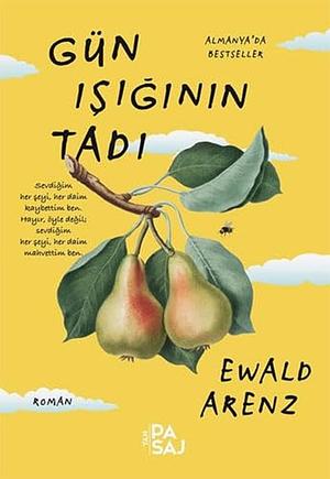 Gün Işığının Tadı by Ewald Arenz