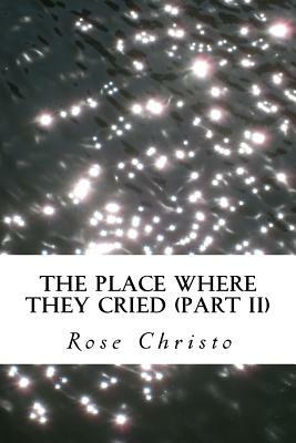 The Place Where They Cried (Part II) by Rose Christo