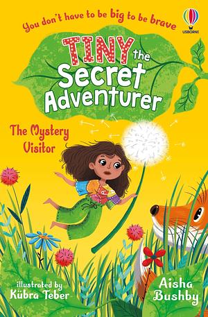 Tiny, the Secret Adventurer: The Mystery Visitor by Aisha Bushby