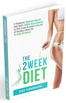 The 2 Week Diet Plan by Brian Flatt by Brian Flatt, Sarah Fragoso