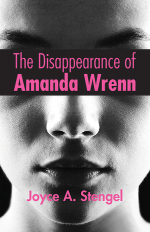 The Disappearance of Amanda Wrenn by Joyce A. Stengel