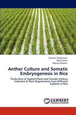 Anther Culture and Somatic Embryogenesis in Rice by Sharmin Shahnewaz, Monzur Hossain, Rafiul Islam