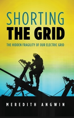 Shorting the Grid: The Hidden Fragility of Our Electric Grid by Meredith Angwin