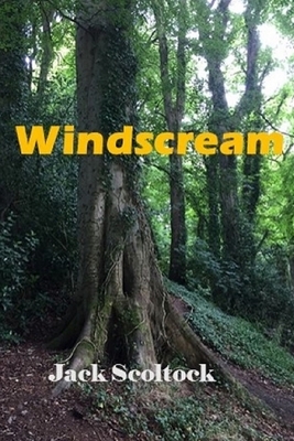 Windscream by Jack Scoltock