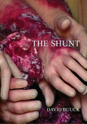 The Shunt by David Buuck