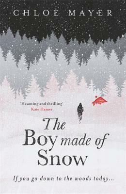 The Boy Made of Snow by Chloe Mayer