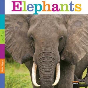 Seedlings: Elephants by Kate Riggs