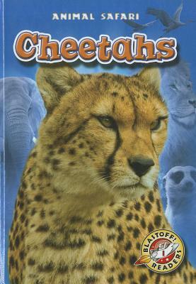 Cheetahs by Megan Borgert-Spaniol