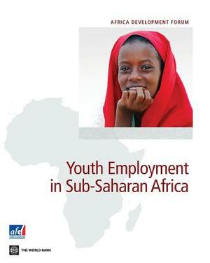 Youth Employment in Sub-Saharan Africa by Deon Filmer, Louise Fox