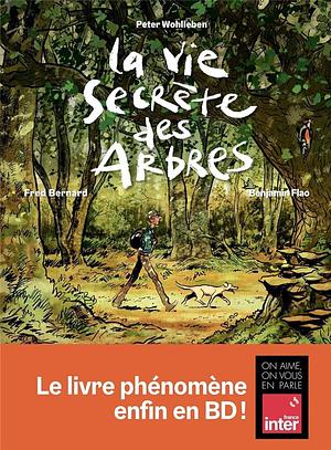 La vie secrète des arbres by Fred Bernard