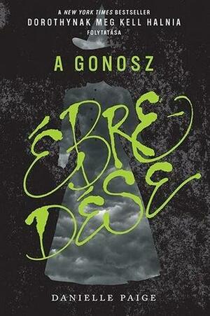 A Gonosz ébredése by Danielle Paige