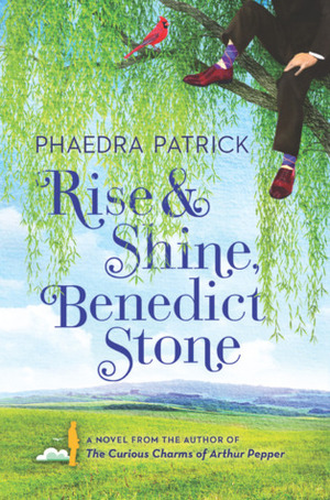 Rise & Shine, Benedict Stone by Phaedra Patrick