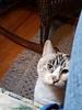 amyh_is_itl's profile picture