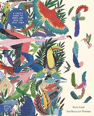 Fly: A Child's Guide to Birds (In Our Nature) by David Lindo