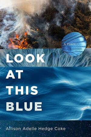 Look at This Blue by Allison Adelle Hedge Coke