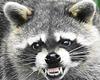 lesleymathieson's profile picture