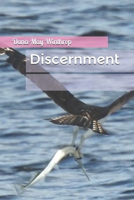 Discernment by Dana-May Winthrop