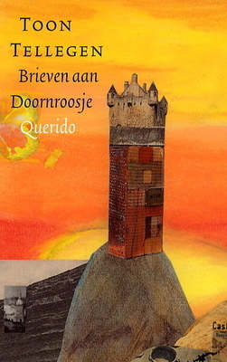 Brieven aan Doornroosje by Toon Tellegen