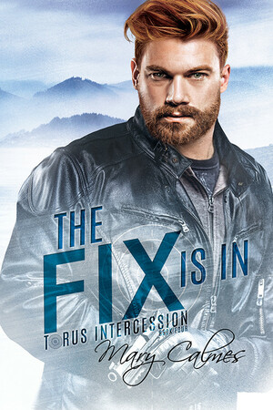 The Fix Is In by Mary Calmes